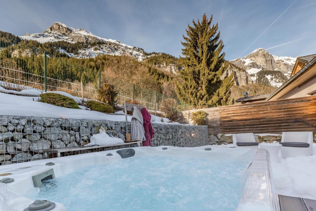 Villa Les Edelweiss Mont-Blanc Passy  Exterior foto